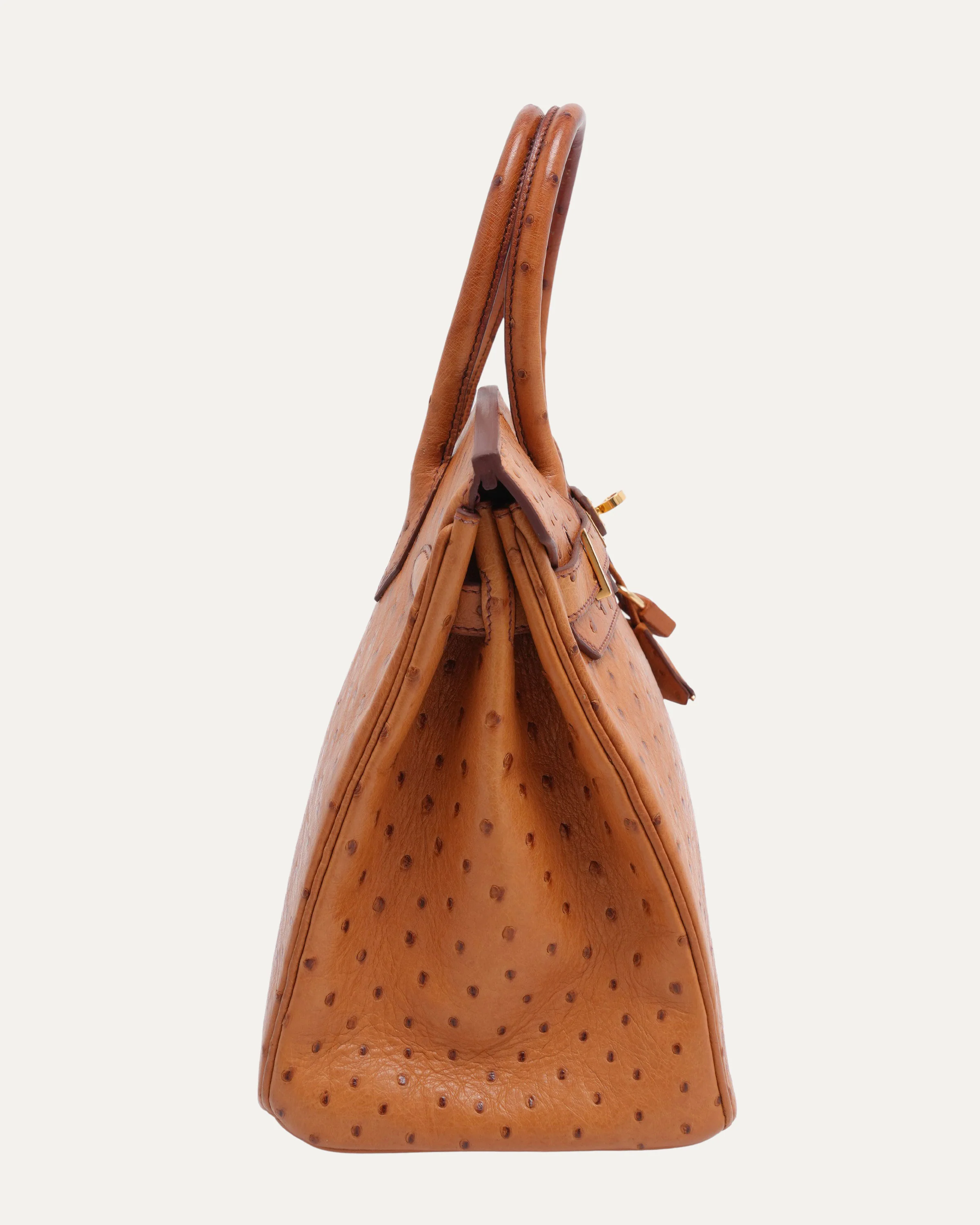 Ostrich Birkin 30 - Image 2