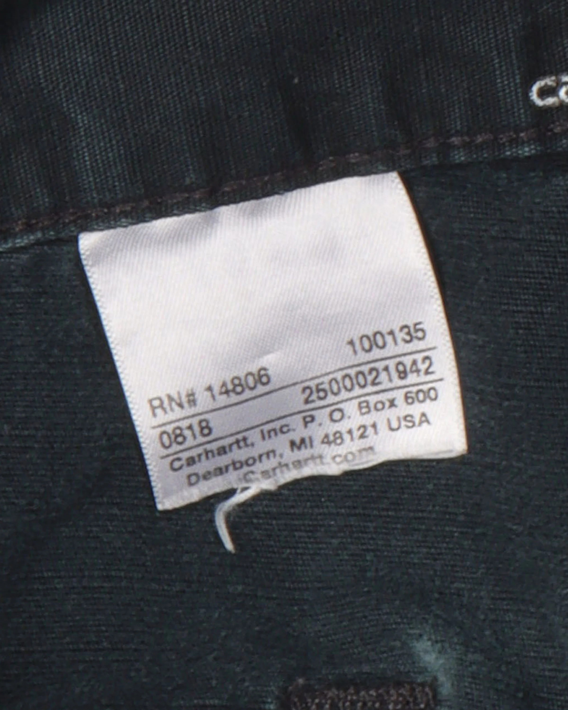 Carhartt Double Knee Cargo Pants - Image 3